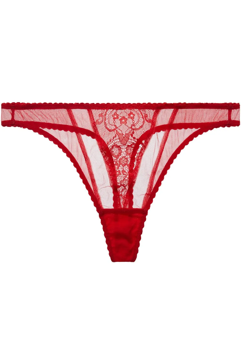 Muse Thong, Size L (UK 14)